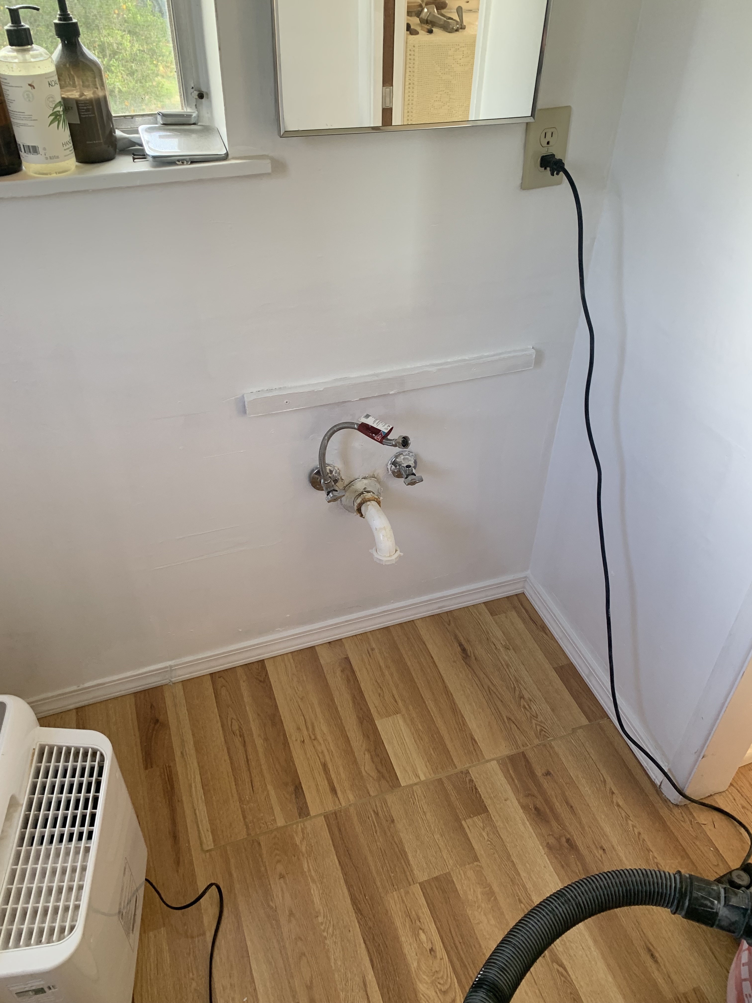 Ojai painting before